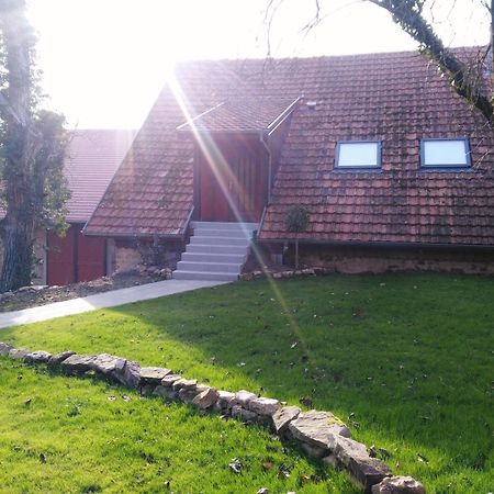 Joli Gite F2 Independant Avec Jardin Prive Rouffach Exterior foto